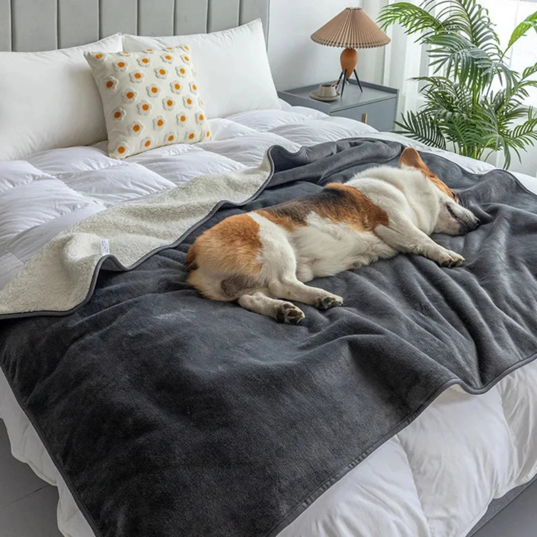 PET THROW