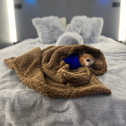 Teddy Pet Blanket