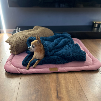 Teddy Pet Blanket
