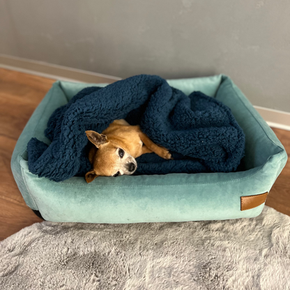 Teddy Pet Blanket