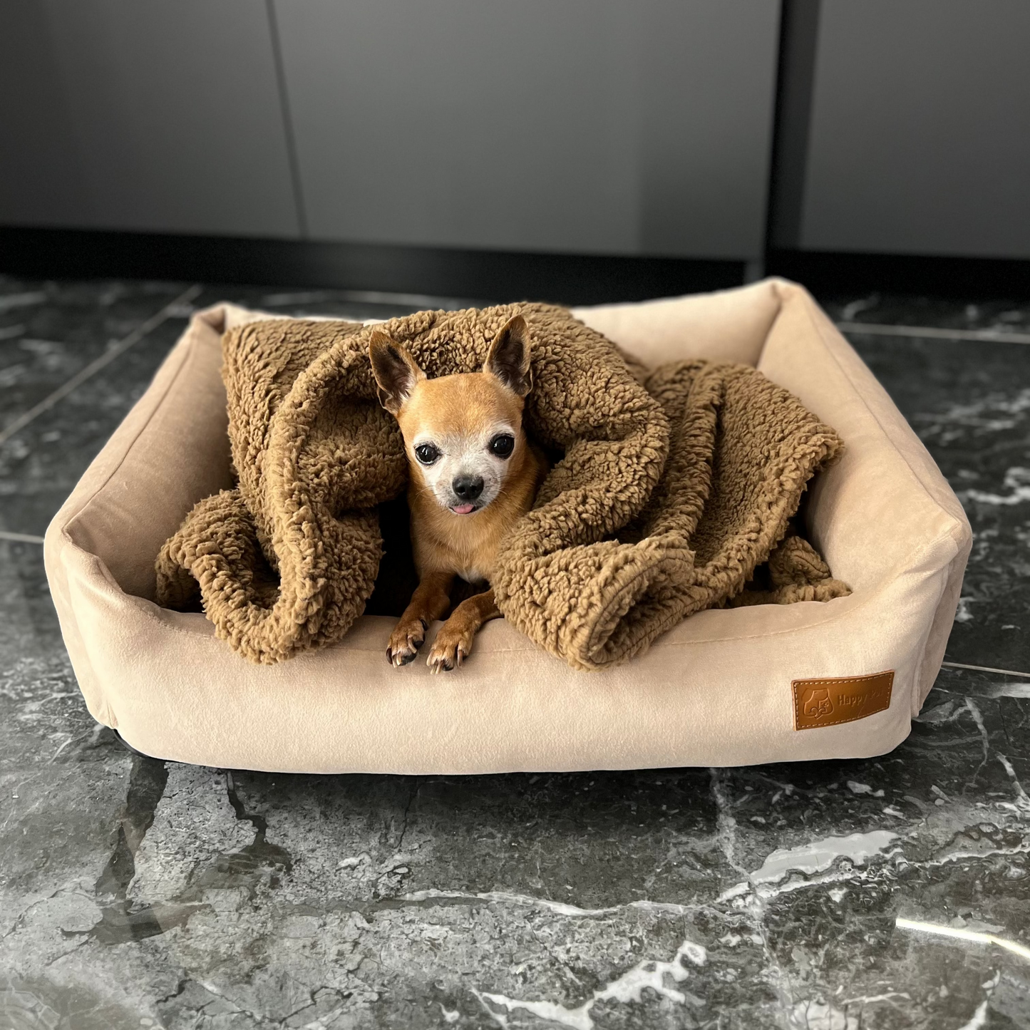 Teddy Pet Blanket