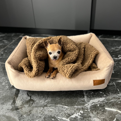 Teddy Pet Blanket